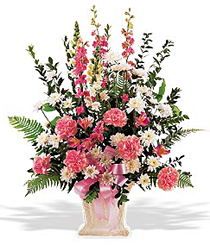 Sweet Sentiments