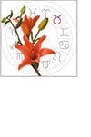 taurus: april 21 - may 21