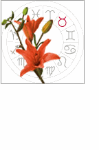 taurus: april 21 - may 21