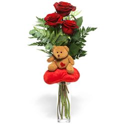 Teddy Love