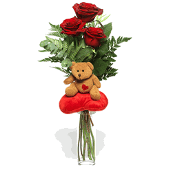 Teddy Love