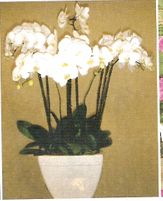 Ten orchid Arrangement