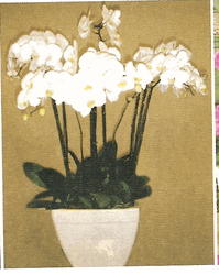 Ten orchid Arrangement
