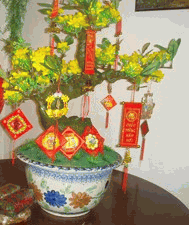 TET03-Plum Tree(Small)