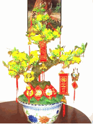 TET05-Plum tree