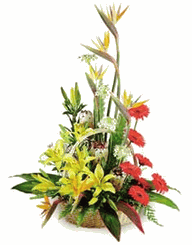 Thank you bouquet