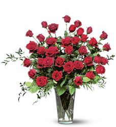 Three Dozen Red Roses