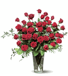 Three Dozen Red Roses