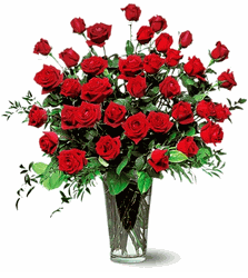 Three Dozen Red Roses