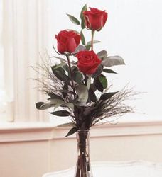 Three Roses  