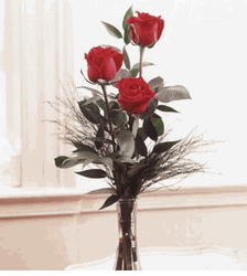 Three Roses  