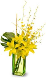 Touch of Tranquility