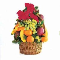 Town Fruits Basket