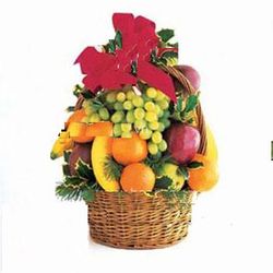 Town Fruits Basket