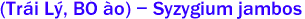 (Tr�i L�, Bồ Đ�o) - Syzygium jambos