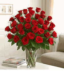Triple Touch of Elegance Three Dozen Roses 