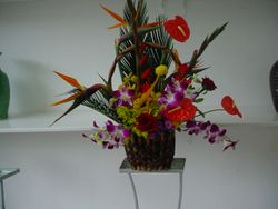 Tropical Arrangement