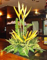 Tropical bouquet