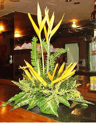 Tropical bouquet