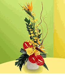 Tropical Bright 