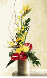 Tropical Bright
