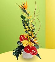 Tropical Bright 