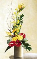 Tropical Bright