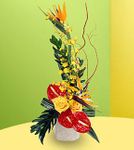 Tropical Bright 