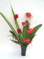 Tropical Flowers /SaigonTropical Flowers 