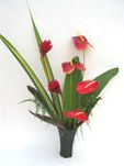 Tropical Flowers /SaigonTropical Flowers 