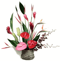 Tropical Splendor Bouquet 