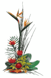 Click to enlarge