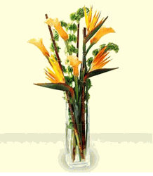 Tropicala