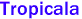 Tropicala