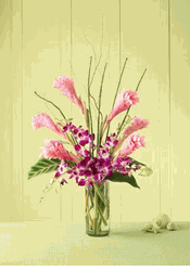 Tropicala Arrangement