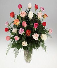 Twenty four mixed roses in a vase.