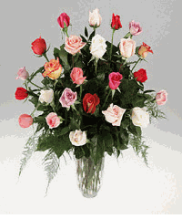 Twenty four mixed roses in a vase.