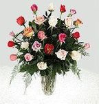 Two Dozen Assorted Rose Color