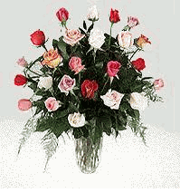 Two Dozen Assorted Rose Color