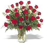 Two dozen classic long stemmed red roses 