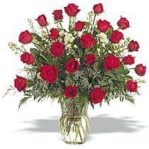 Two dozen classic long stemmed red roses 