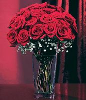 Two Dozen Long Stemmed Red Roses 