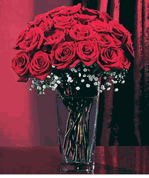 Two Dozen Long Stemmed Red Roses 
