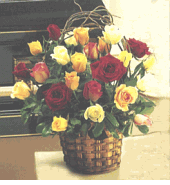 Two Dozen Mixed Roses in basket