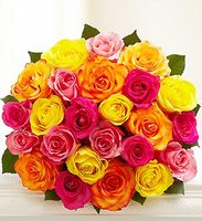 Two Dozen Multicolored Roses 