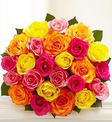 Two Dozen Multicolored Roses 