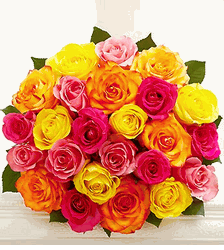 Two Dozen Multicolored Roses 