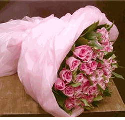 Two Dozen Pink Rose Bouquet
