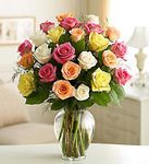 Two Dozen Premium Long Stem Assorted Roses