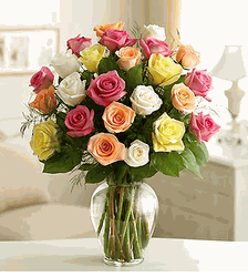 Two Dozen Premium Long Stem Assorted Roses
